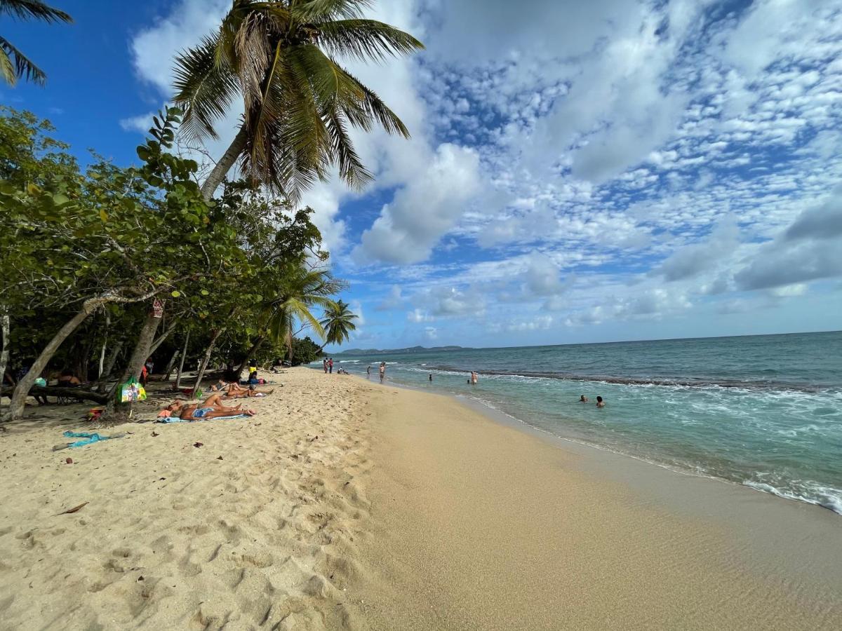 Appartement Vue Mer A 2 Minutes A Pied Des Plages Tartane Ла Трините Екстериор снимка